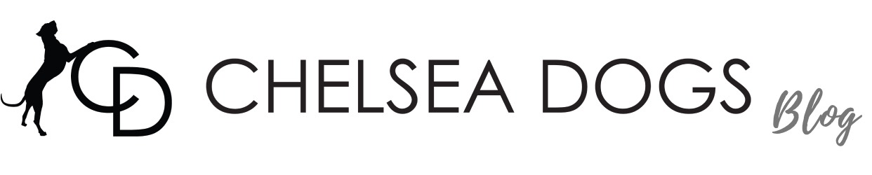 Chelsea Dogs Blog