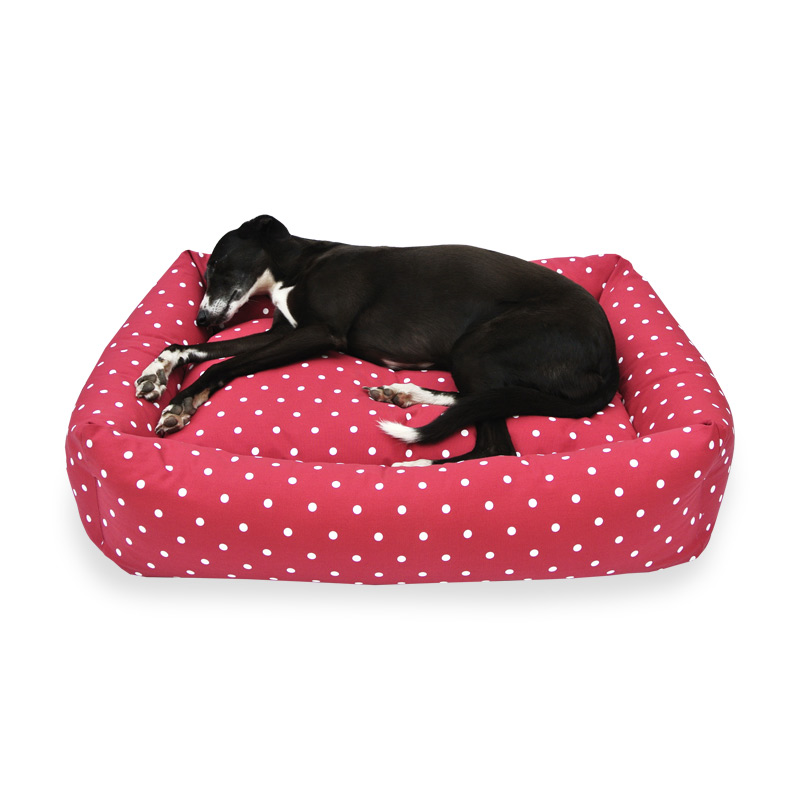 Best Beds For Greyhounds Chelsea Dogs Blog