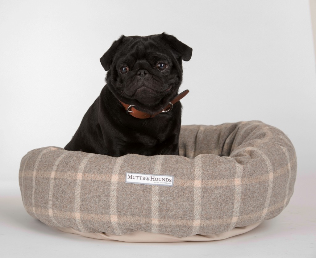 best bed for pugs