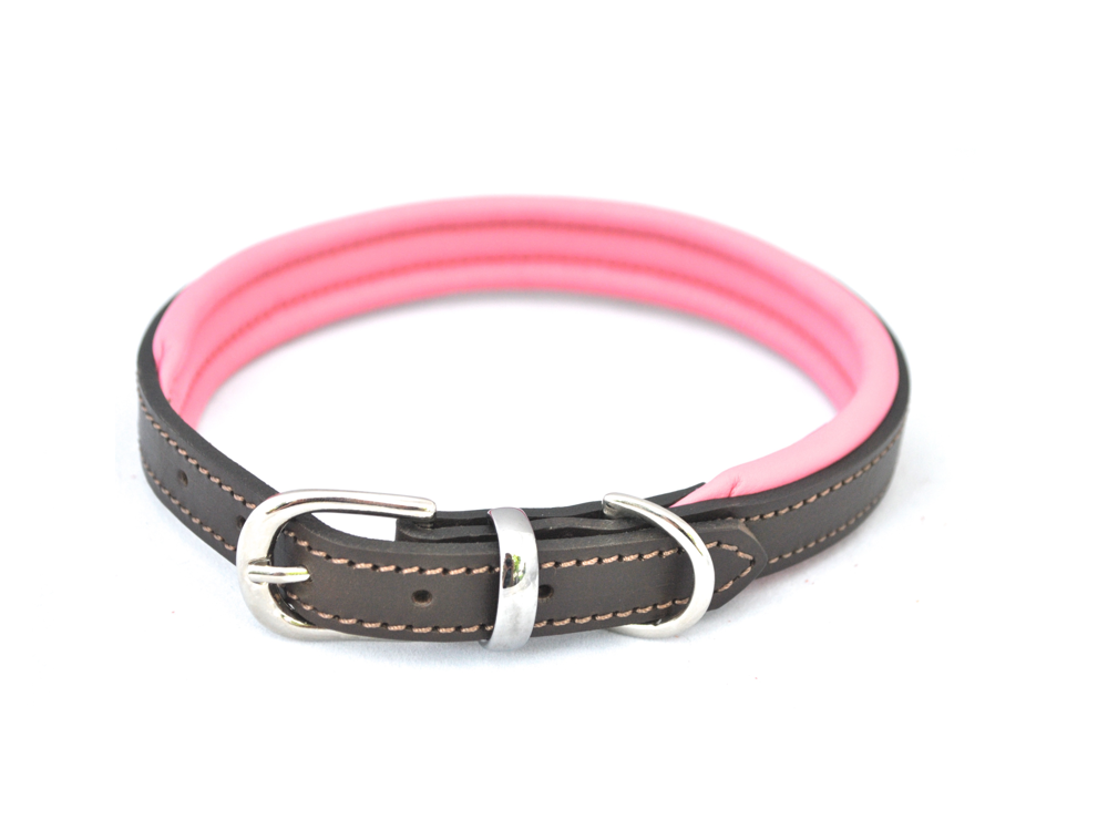 Best Collars For Vizslas Vizsla Dog Collars Chelsea Dogs Blog