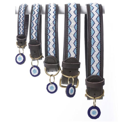 Best Collars For Vizslas Vizsla Dog Collars Chelsea Dogs Blog