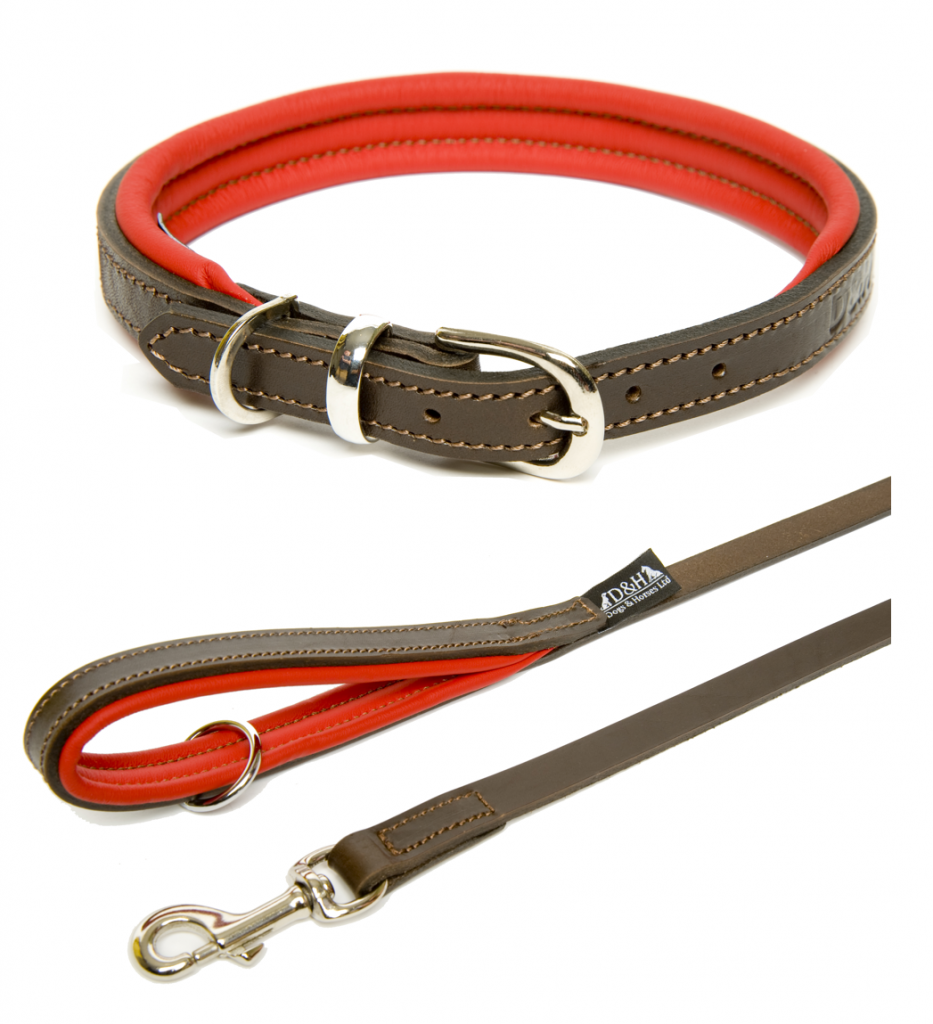 Dog Collar And Lead Set 