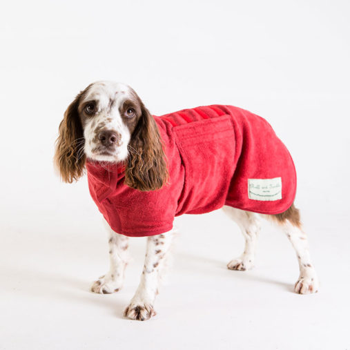Luxury Dog Drying Coats Chelsea Dogs Blog