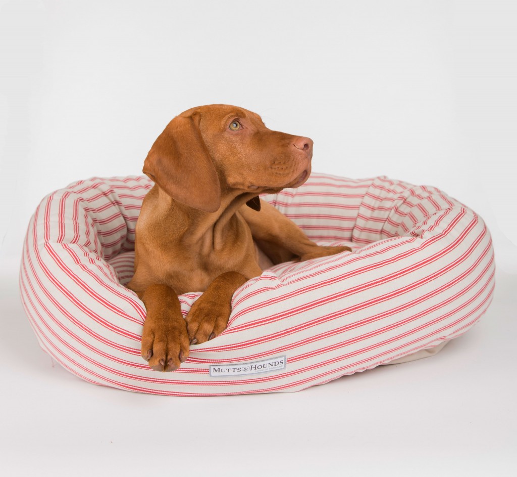 Mutts and Hounds Luxury Dog Products Chelsea Dogs Blog